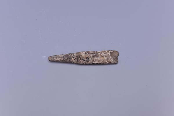 Neolithic bone arrowheads